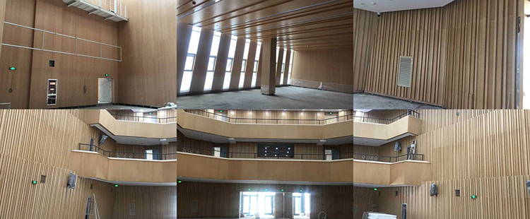 湖北武漢劇院聲學(xué)工程 湖北武漢劇院聲學(xué)工程